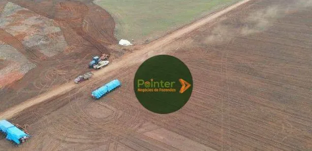 Fazenda / Sítio / Chácara à venda, 100000m² no , Pedro Afonso