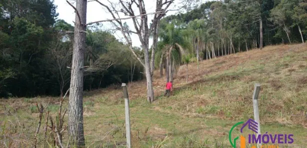 Terreno / Lote Comercial à venda, 67000m² no Aldeinha, Itapecerica da Serra
