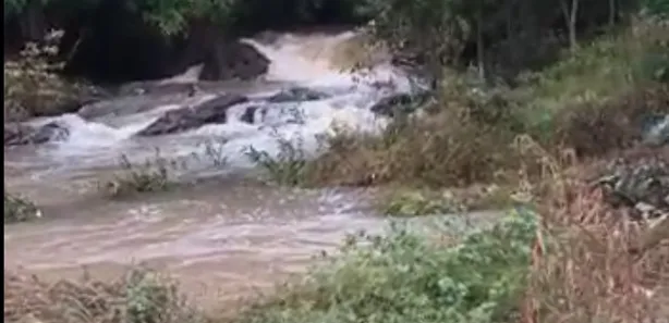 Fazenda / Sítio / Chácara à venda, 2000m² no , Joaquim Gomes