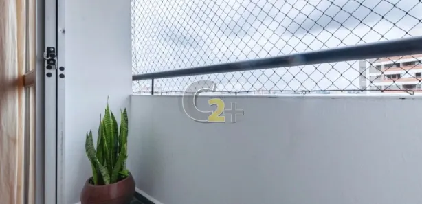 Apartamento com 3 Quartos à venda, 75m² no Vila Amélia, São Paulo