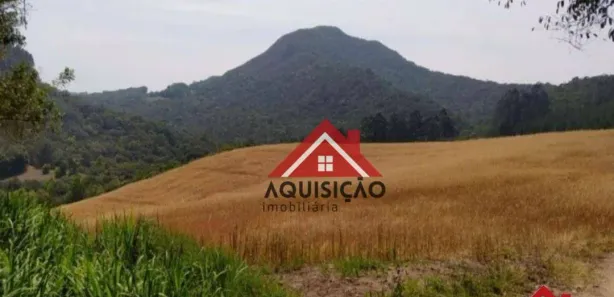 Fazenda / Sítio / Chácara com 1 Quarto à venda, 20000m² no Felpudo, Campo Largo