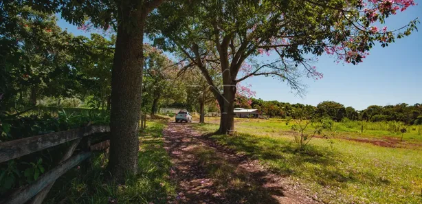 Fazenda / Sítio / Chácara à venda, 250m² no Náutica, Foz do Iguaçu