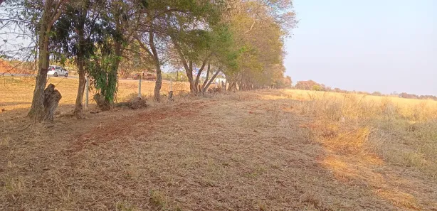 Fazenda / Sítio / Chácara com 2 Quartos à venda, 1880000m² no Ponte Alta Norte, Brasília