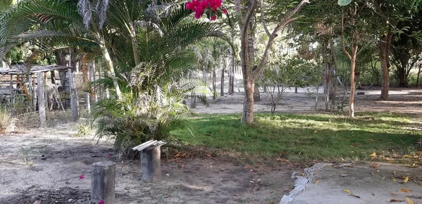 Terreno / Lote / Condomínio com 1 Quarto à venda, 10000m² no , Prado
