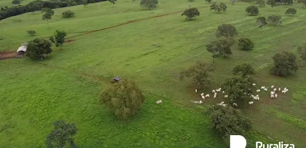 Fazenda / Sítio / Chácara à venda, 300m² no , Guaraí