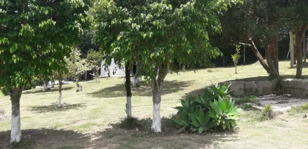 Fazenda / Sítio / Chácara com 3 Quartos para venda ou aluguel, 170m² no Cocuera, Mogi das Cruzes
