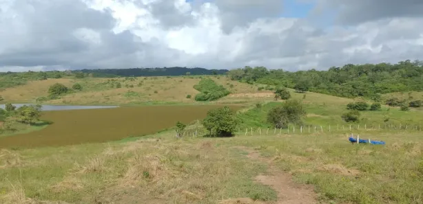 Fazenda / Sítio / Chácara com 9 Quartos à venda, 5900000m² no , Pombos
