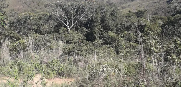 Fazenda / Sítio / Chácara à venda, 20000m² no Jardim Roriz, Brasília