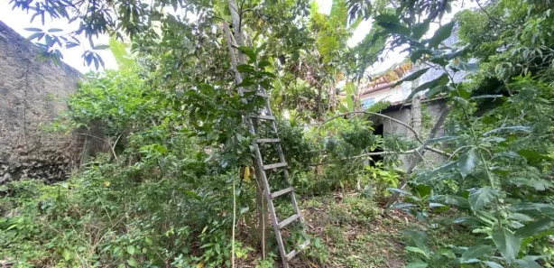 Loja / Salão / Ponto Comercial à venda, 600m² no Alto Branco, Campina Grande
