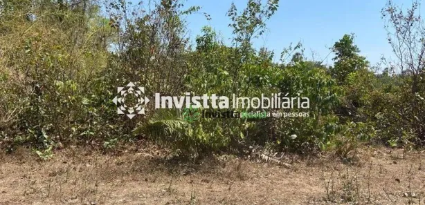 Fazenda / Sítio / Chácara à venda, 794m² no Centro, Pium