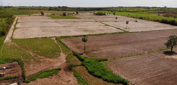 Fazenda / Sítio / Chácara com 3 Quartos à venda, 124000000m² no Centro, Campo Maior