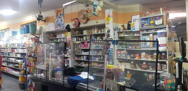 Loja / Salão / Ponto Comercial à venda, 300m² no Santa Claudina, Vinhedo