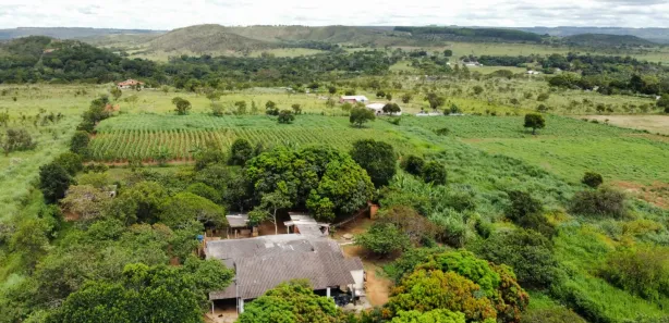 Fazenda / Sítio / Chácara com 3 Quartos à venda, 21000m² no Arapoanga, Brasília