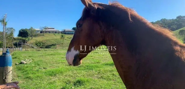 Fazenda / Sítio / Chácara à venda, 1000m² no Centro, Tanguá