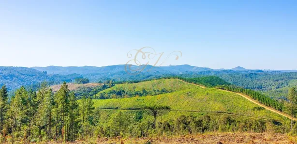Fazenda / Sítio / Chácara com 1 Quarto à venda, 2693786m² no Centro, Campo Largo