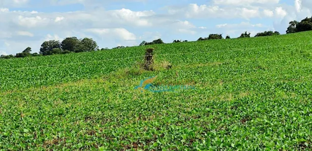 Fazenda / Sítio / Chácara à venda, 72600m² no , Catanduvas
