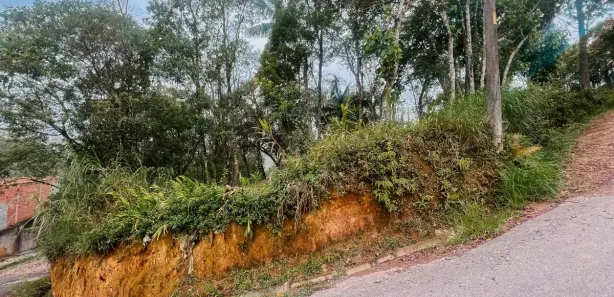 Terreno / Lote / Condomínio com 1 Quarto à venda, 2054m² no Parque do Governador, Rio Grande da Serra