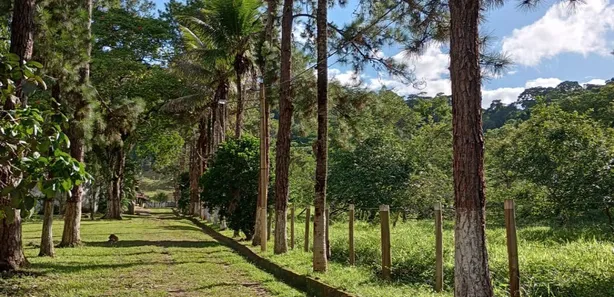 Fazenda / Sítio / Chácara com 5 Quartos à venda, 480m² no Vargem Alegre, Barra do Piraí