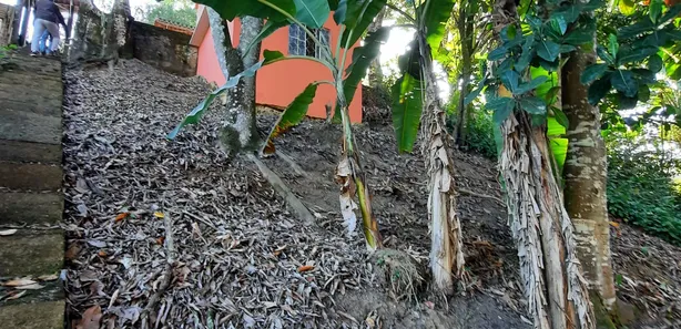 Fazenda / Sítio / Chácara com 2 Quartos à venda, 3050m² no Califórnia da Barra, Barra do Piraí
