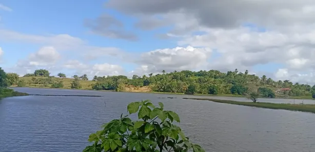 Fazenda / Sítio / Chácara com 3 Quartos à venda, 2900m² no , Mata de São João