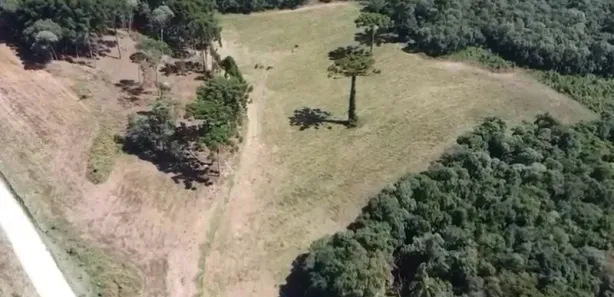 Terreno / Lote Comercial à venda, 130000m² no Itaqui de Cima, Campo Largo
