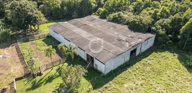 Fazenda / Sítio / Chácara com 3 Quartos à venda, 242000m² no , Campina Grande do Sul