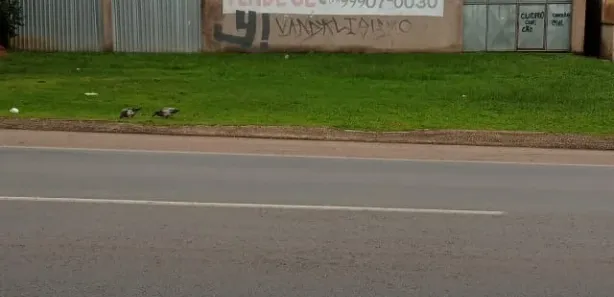 Galpão / Depósito / Armazém para venda ou aluguel, 1890m² no , Bacabeira