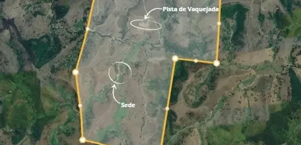 Fazenda / Sítio / Chácara à venda, 10000m² no , Canhotinho