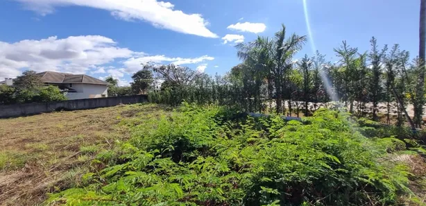 Terreno / Lote / Condomínio à venda, 2500m² no Park Way, Brasília