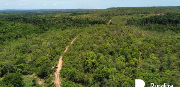 Fazenda / Sítio / Chácara à venda, 290m² no , Ponte Alta do Tocantins