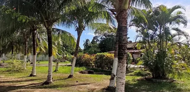 Terreno / Lote / Condomínio à venda, 150m² no Loteamento Bosque Ponta da Areia, Itaparica