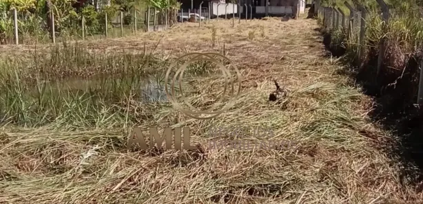 Fazenda / Sítio / Chácara com 3 Quartos à venda, 1400m² no Chácara Marambaia, Caçapava