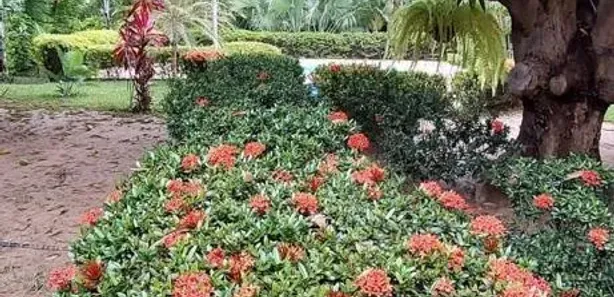 Fazenda / Sítio / Chácara com 2 Quartos à venda, 300m² no Gercino Coelho, Petrolina