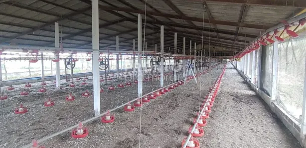 Fazenda / Sítio / Chácara com 4 Quartos à venda, 2650000m² no Alto José Leal, Vitória de Santo Antão