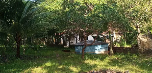 Fazenda / Sítio / Chácara com 4 Quartos para alugar, 5124m² no Caracanga, Itaitinga