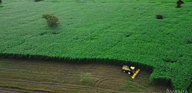Fazenda / Sítio / Chácara à venda, 726000m² no Setor Central, Ponte Alta do Tocantins