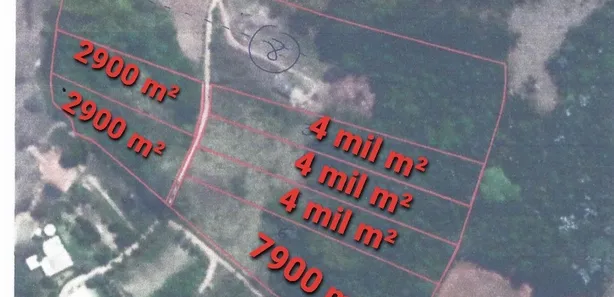 Fazenda / Sítio / Chácara com 1 Quarto à venda, 7900m² no Área Rural de Viçosa, Viçosa