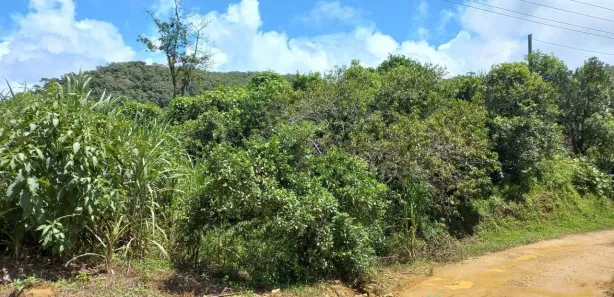 Terreno / Lote / Condomínio à venda, 3780m² no , Águas Mornas