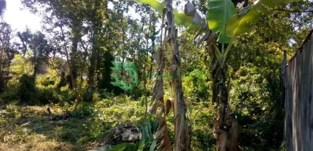 Fazenda / Sítio / Chácara à venda, 1400m² no , Mongaguá