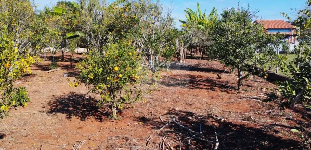 Fazenda / Sítio / Chácara com 2 Quartos à venda, 236m² no , Pilar do Sul