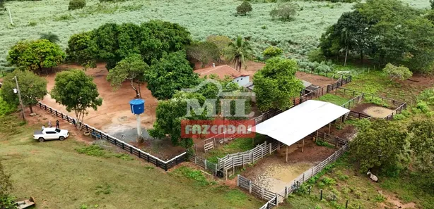 Fazenda / Sítio / Chácara com 2 Quartos à venda, 500m² no Setor Central, Gurupi