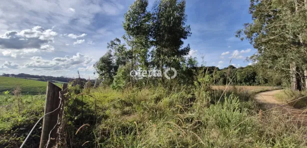 Fazenda / Sítio / Chácara à venda, 21917m² no , Contenda