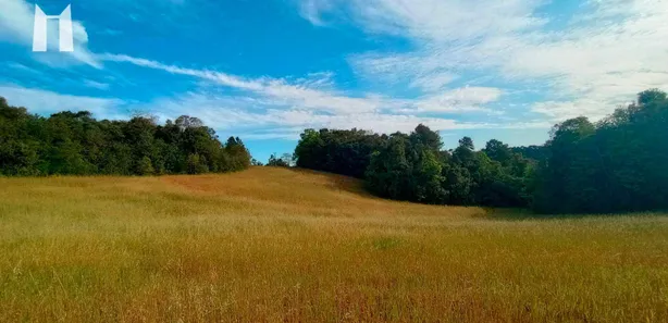 Terreno / Lote / Condomínio à venda, 96800m² no Rondinha, Campo Largo