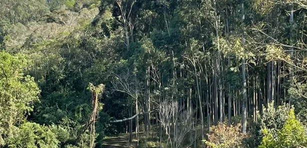 Terreno / Lote / Condomínio à venda, 1000m² no , Alumínio
