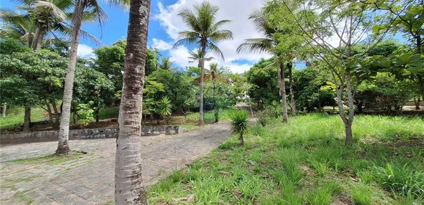 Fazenda / Sítio / Chácara com 4 Quartos à venda, 37358m² no Terra Vermelha, Agrestina