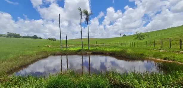 Fazenda / Sítio / Chácara à venda, 304920m² no Centro, Mata de São João