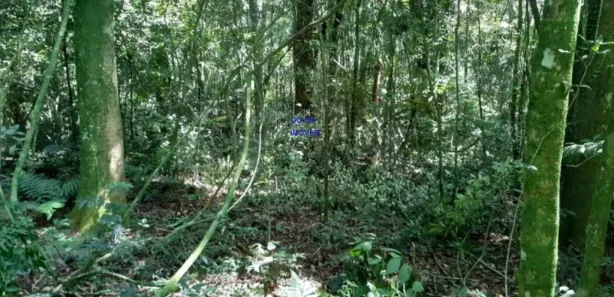 Fazenda / Sítio / Chácara com 1 Quarto à venda, 7000m² no , Contenda