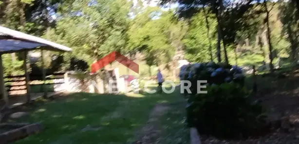 Fazenda / Sítio / Chácara com 3 Quartos à venda, 500m² no Campestre da Faxina, São José dos Pinhais