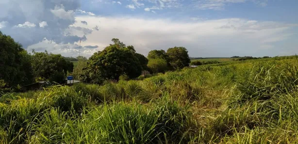 Fazenda / Sítio / Chácara com 4 Quartos à venda, 91960m² no Centro, Capivari