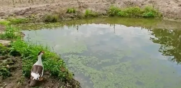 Fazenda / Sítio / Chácara com 2 Quartos à venda, 31000m² no , Tanguá